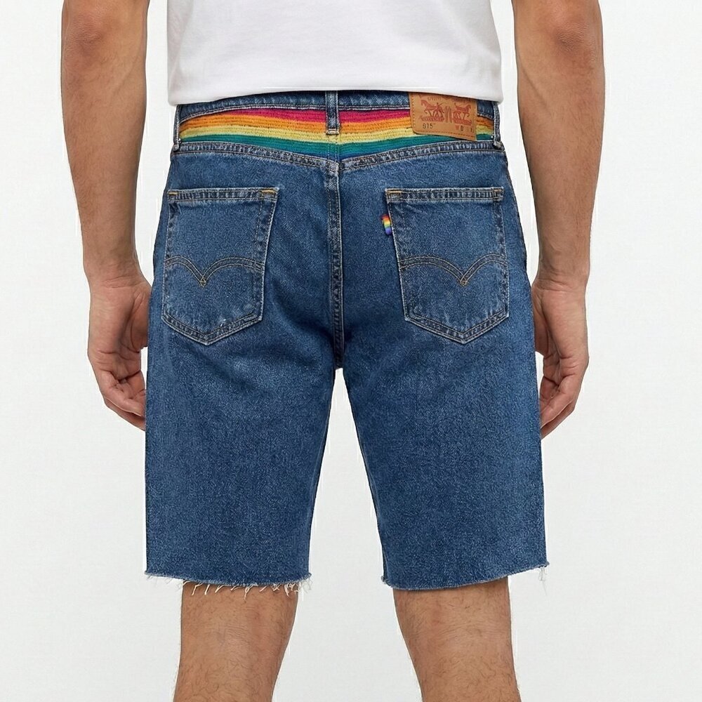 Levis 511 Shorts Blue Denim Pride Rainbow Stonewall Raw Hem Embroidered Size 30